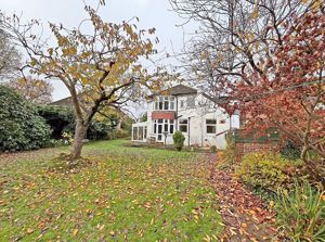 Rear Aspect- click for photo gallery